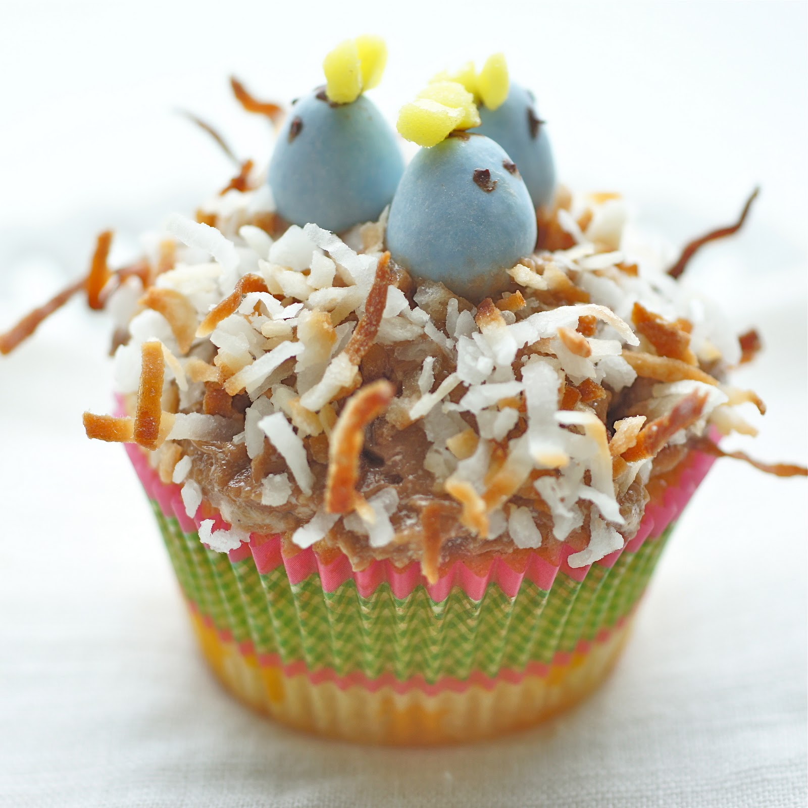 Thyme Baby Blue Bird Nest Cupcakes