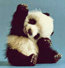pandaholic-