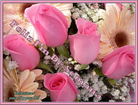 Afbeeldingsresultaat voor imagenes y reflexiones de fin de semana