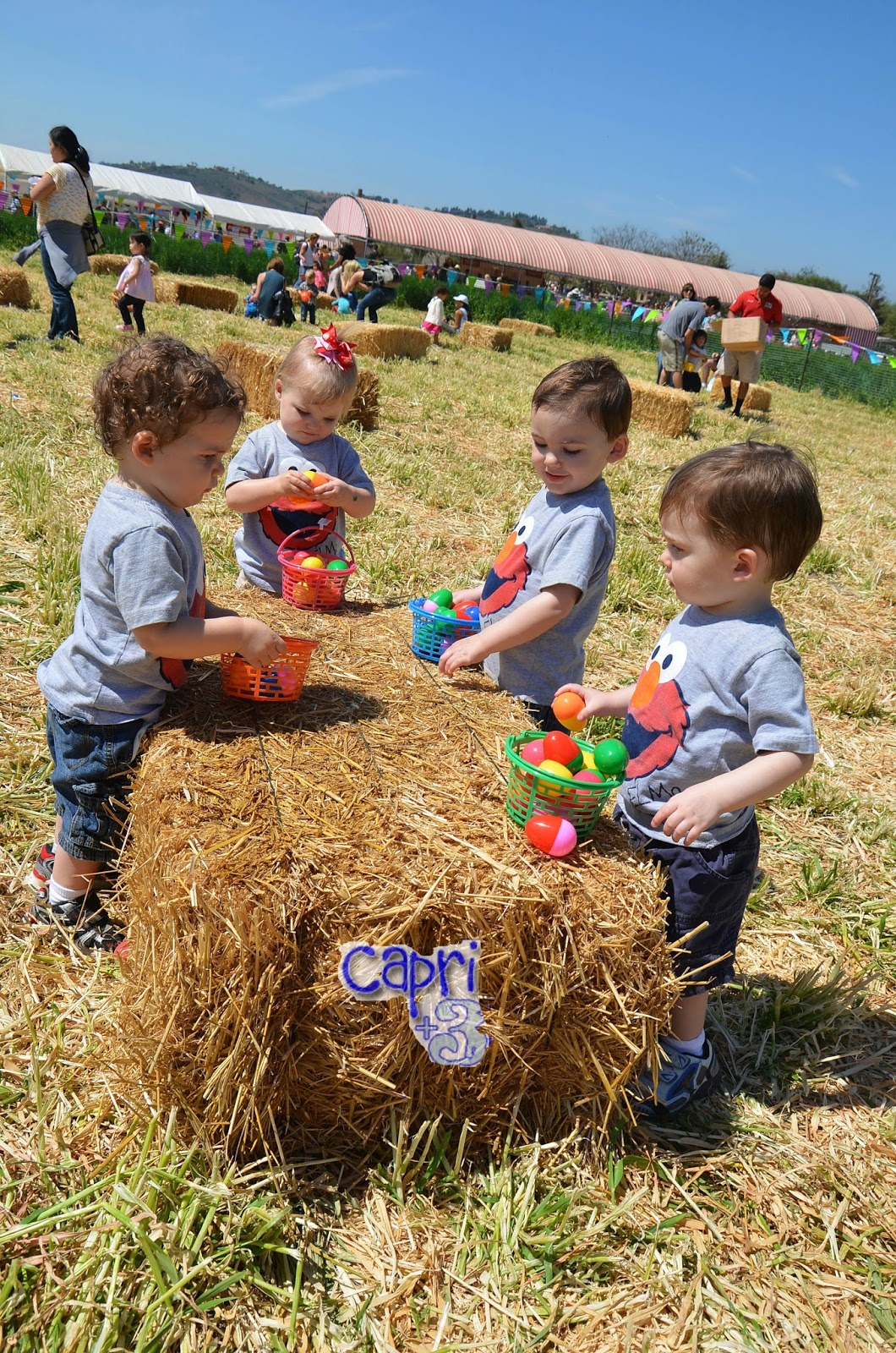 Fun at Underwood Family Farms - Capri + 3