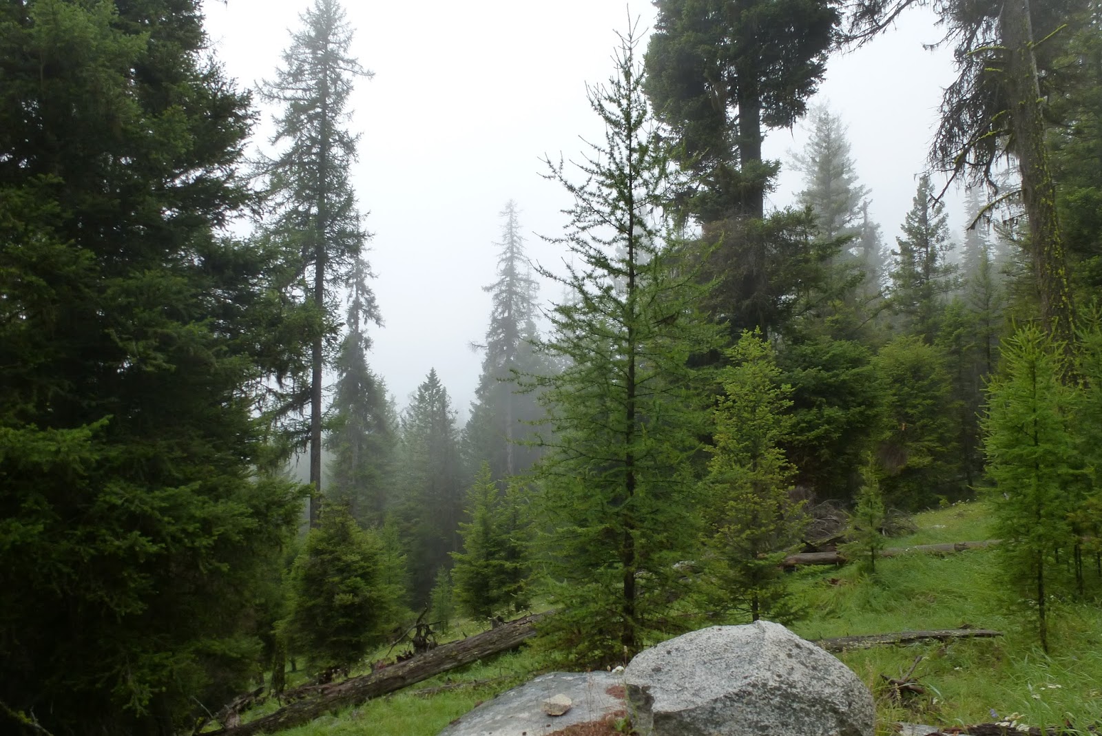 Hold all my calls... PNT Bonaparte Lake, WA to Oroville, WA