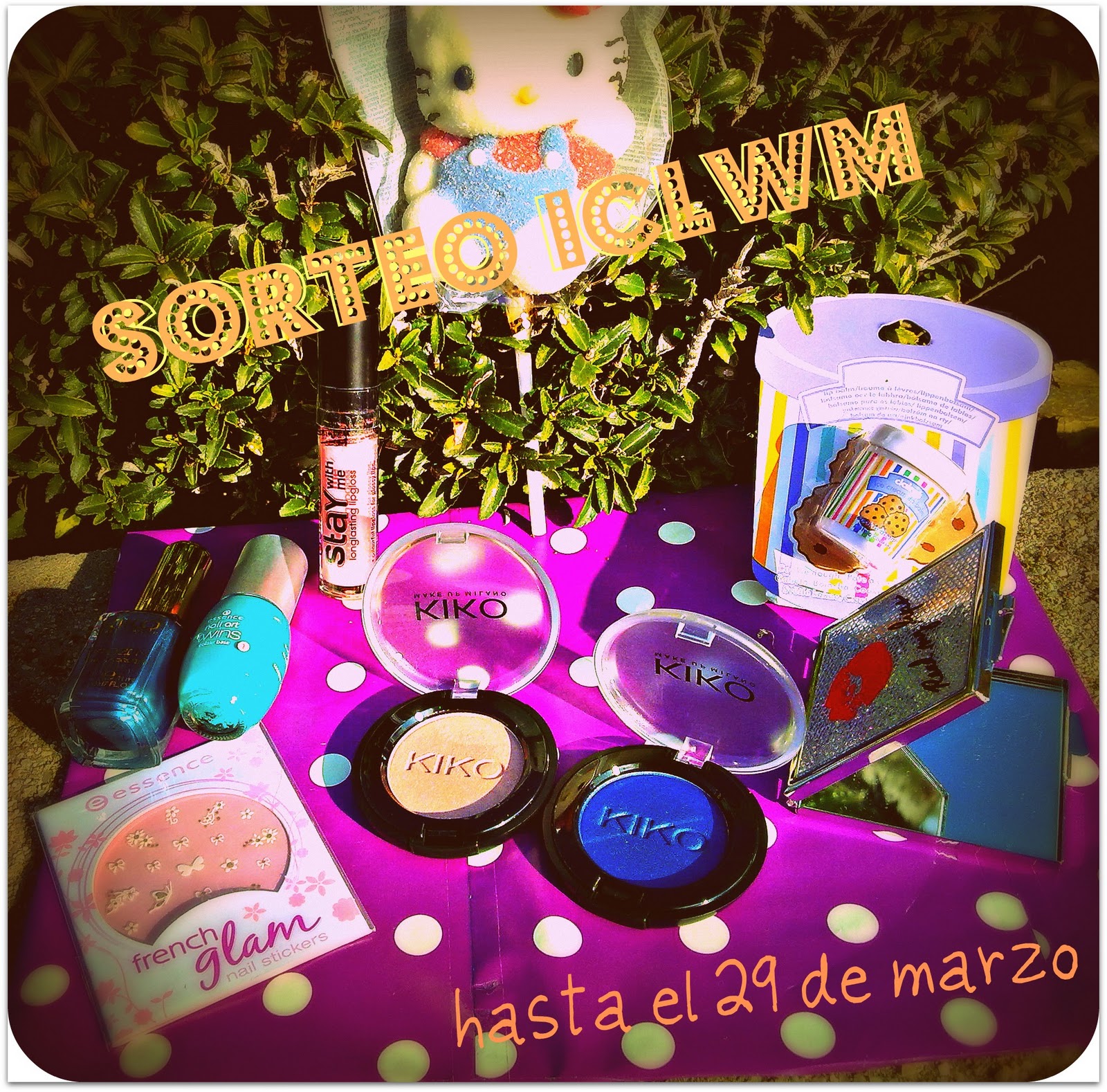 Sorteo en ICLWM