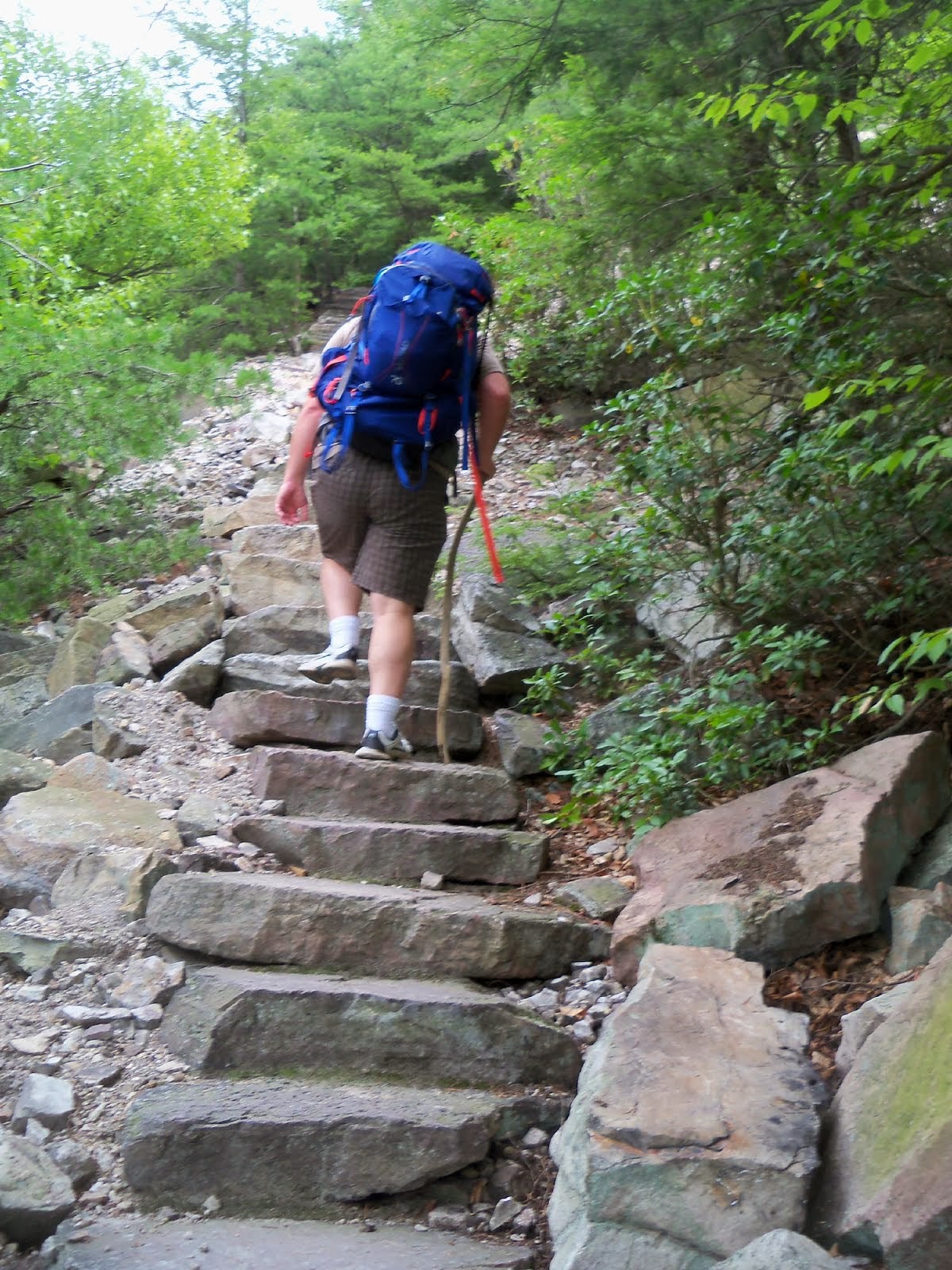 Standing Stone Trail - Pack Training