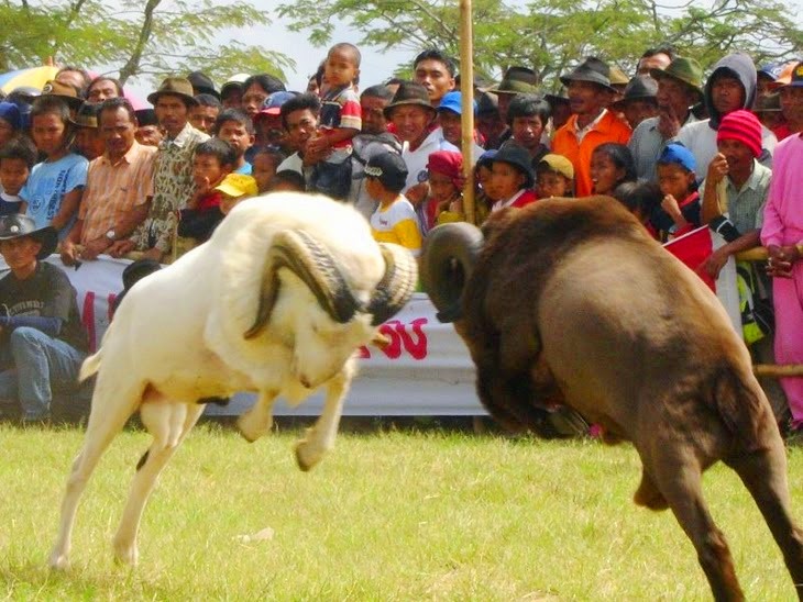 Objek Wisata Rancabango Garut Jawa Barat Objek Wisata Rancabango Garut Jawa Barat
