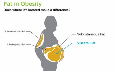 About Health Tips