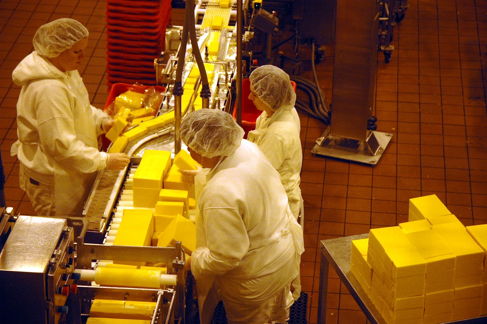 DUDE FOR FOOD Side Views Awesome Sights and Flavors at the Tillamook