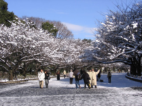 Tempat Wisata Indah dan Keren di Jepang ~ Intan Pratama Putri Nonton Movie The Last Airbender (2010) Sub Indo - Movie ...