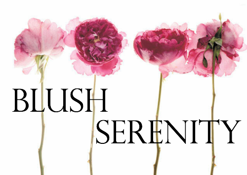 Blush Serenity