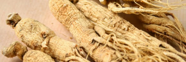 ginseng types