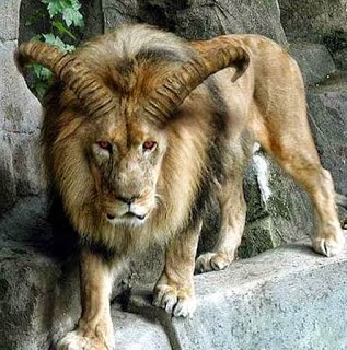 غرائب العالم بالصور 2013