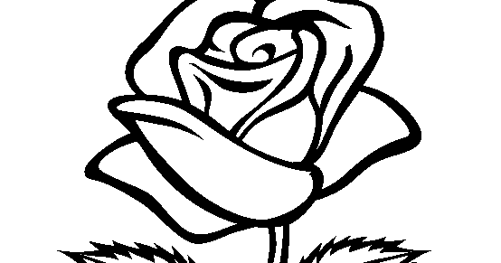 Rose Flower Coloring Pages Printable - Best Coloring Pages Collections