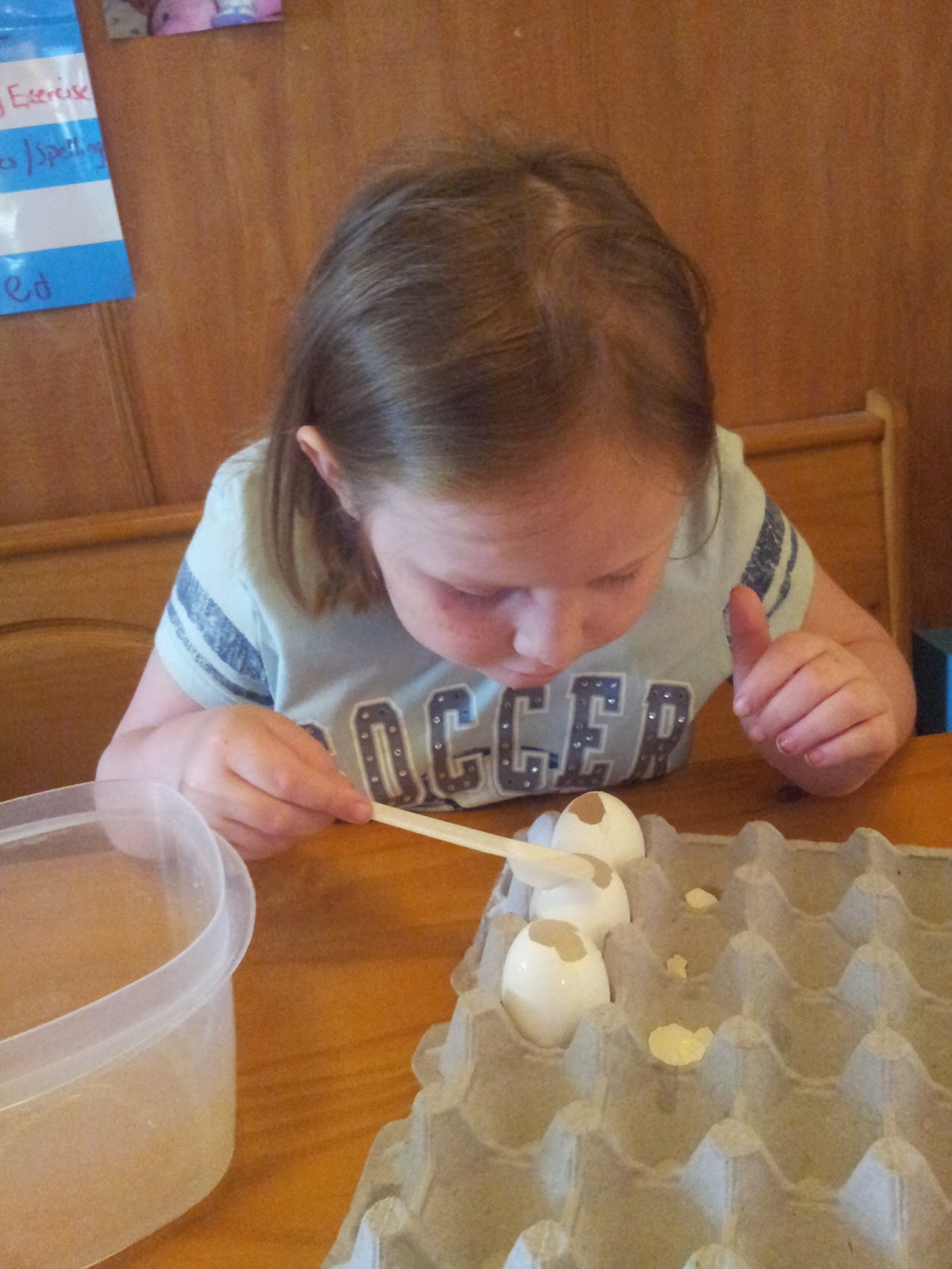 Marietta Homeschooling Zoo Egg Geodes