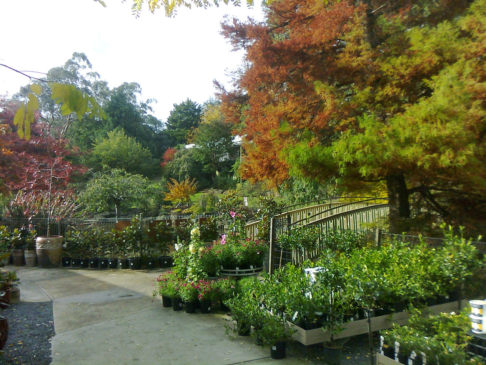 Melbourne Photographs Victoria Tasmania Queensland Australia