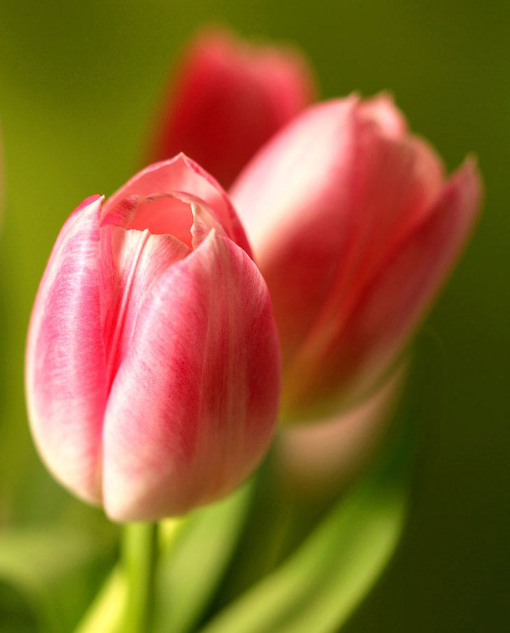 Below is a list of quotes cute love and life and more Below is a list of quotes cute love and life and more