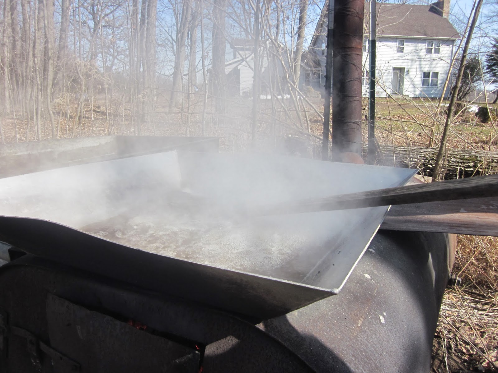 Lake Country Land School Blog How to Boil Sap to Make Maple Syrup