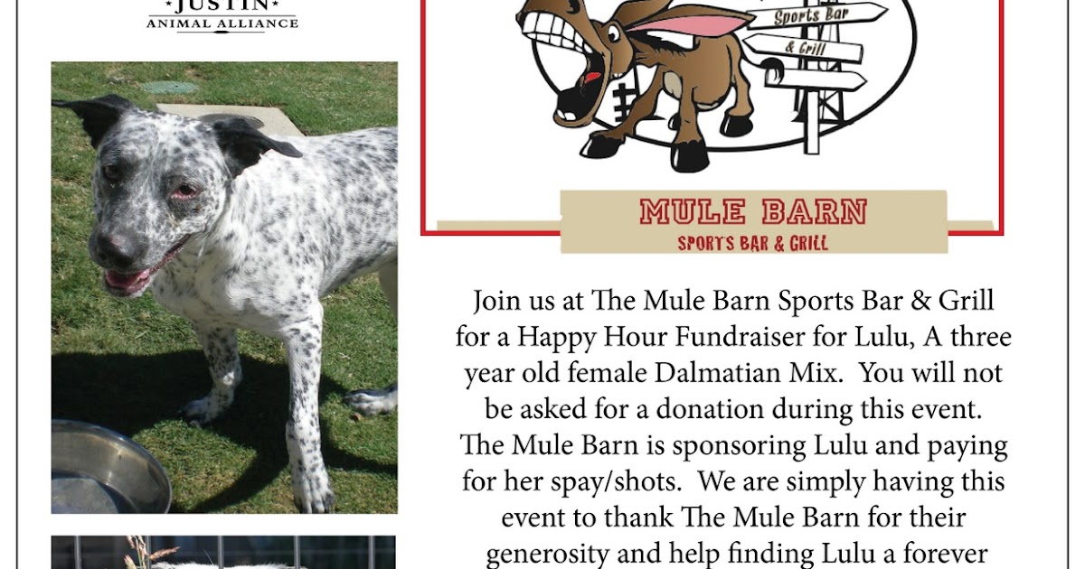 The Justin Animal Alliance Happy Hour At The Mule Barn And Sports Bar