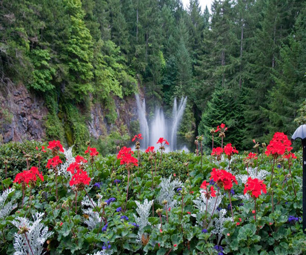 [Image: butchart-gardens-vuon-hoa-xinh-dep-cua-canada-13.jpg]