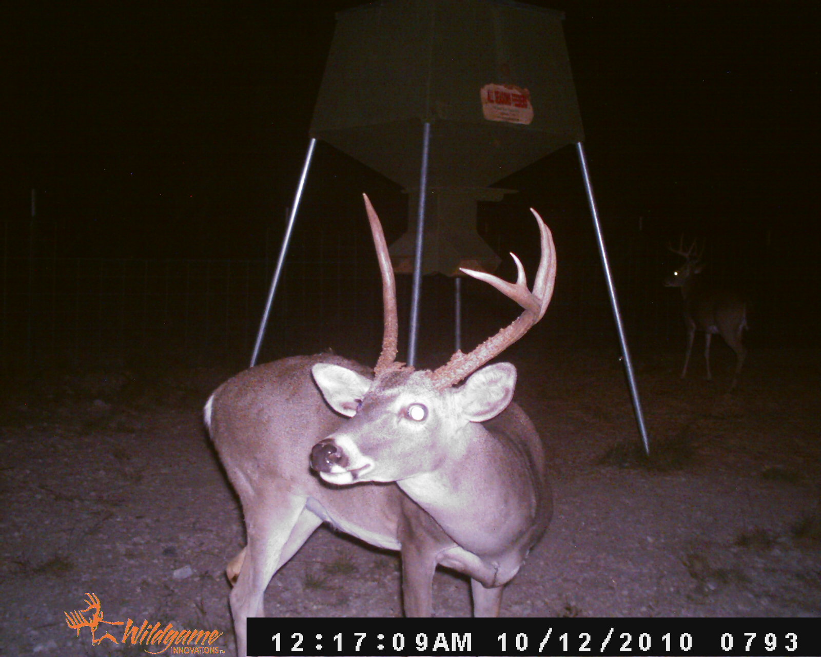 Unicorns Do Exist… The Hunting Game