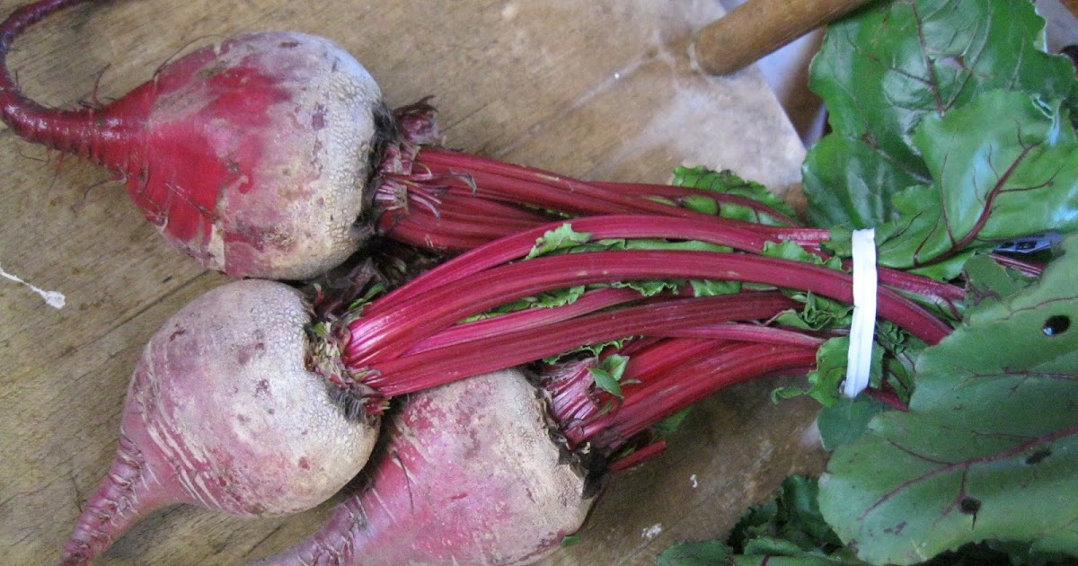 For Him and My Family Beets for Food Coloring