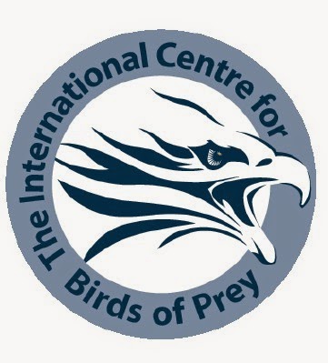 International Centre for Birds of Prey