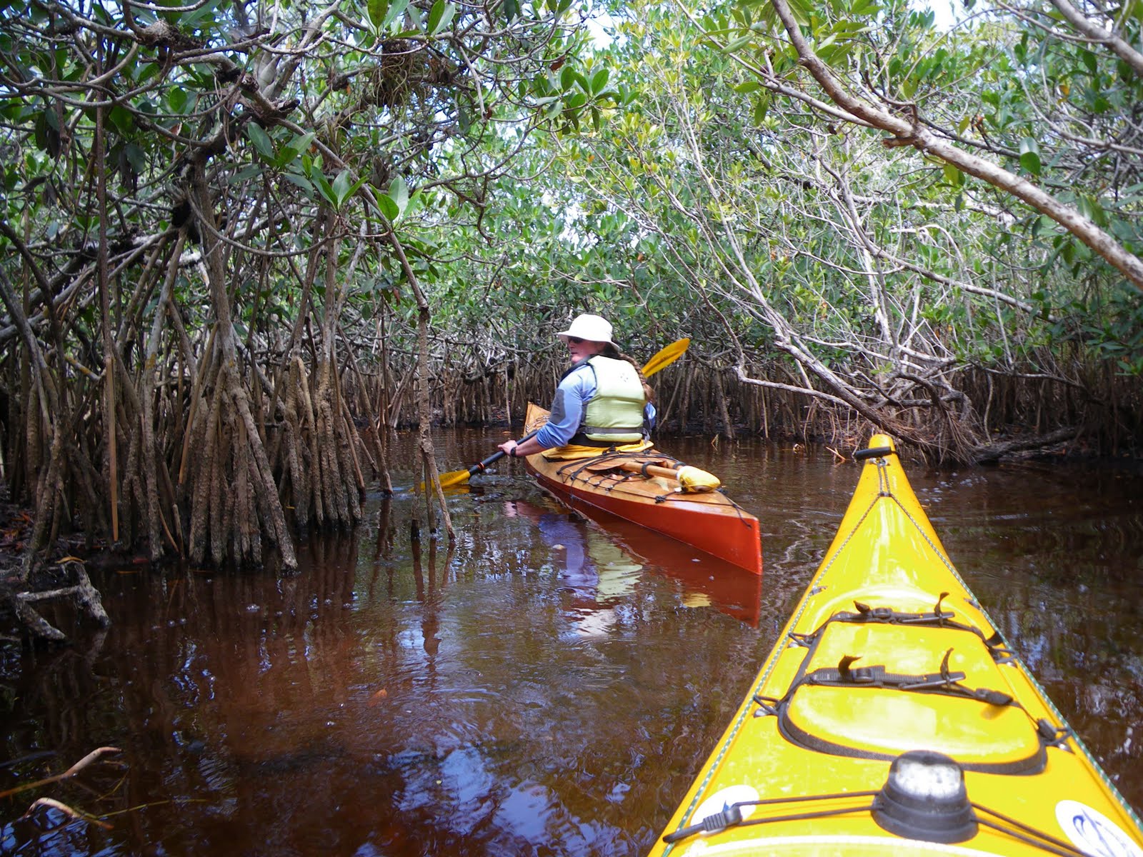 Sea Kayak Stonington Greetings from the Everglades
