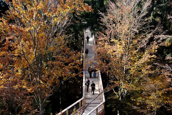 Bavarian Forest National Park