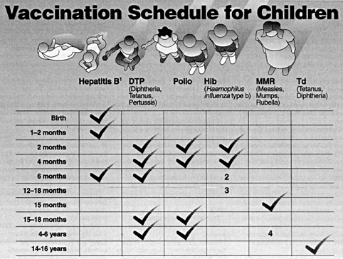 moms day baby vaccinations baby vaccinations chart