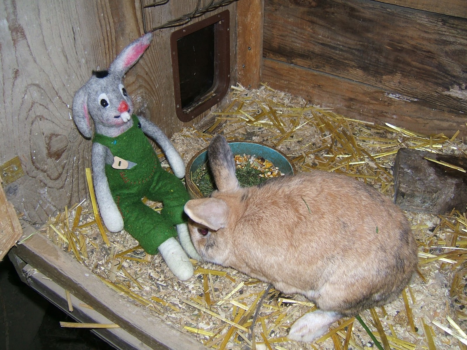 Eine Fahrfahrt Die Ist Lustig Fee Ist Mein Name