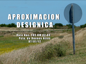 APROXIMACION DESIGNICA