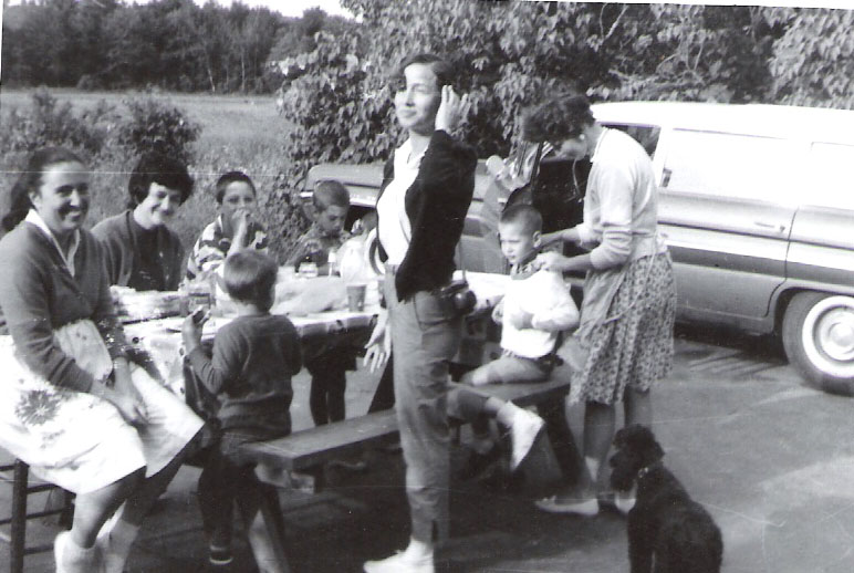 Dissertation of alessandra comini 07 picture