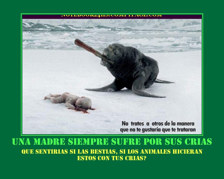 TODA MADRE SUFRE- TODO SER VIVO QUIERE PROTEGER LA CONTINUIDAD DE LA ESPECIE