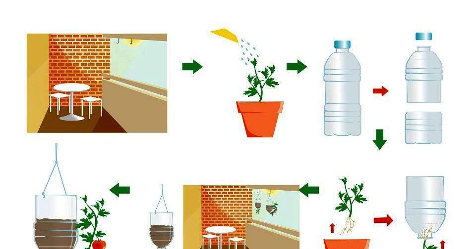 Botellas De Plastico Construccion Y Manualidades Hazlo Tu Mismo | plantar tomates en botellas de pl 225 stico construccion y Botellas De Plastico Construccion Y Manualidades Hazlo Tu Mismo | plantar tomates en botellas de pl 225 stico construccion y