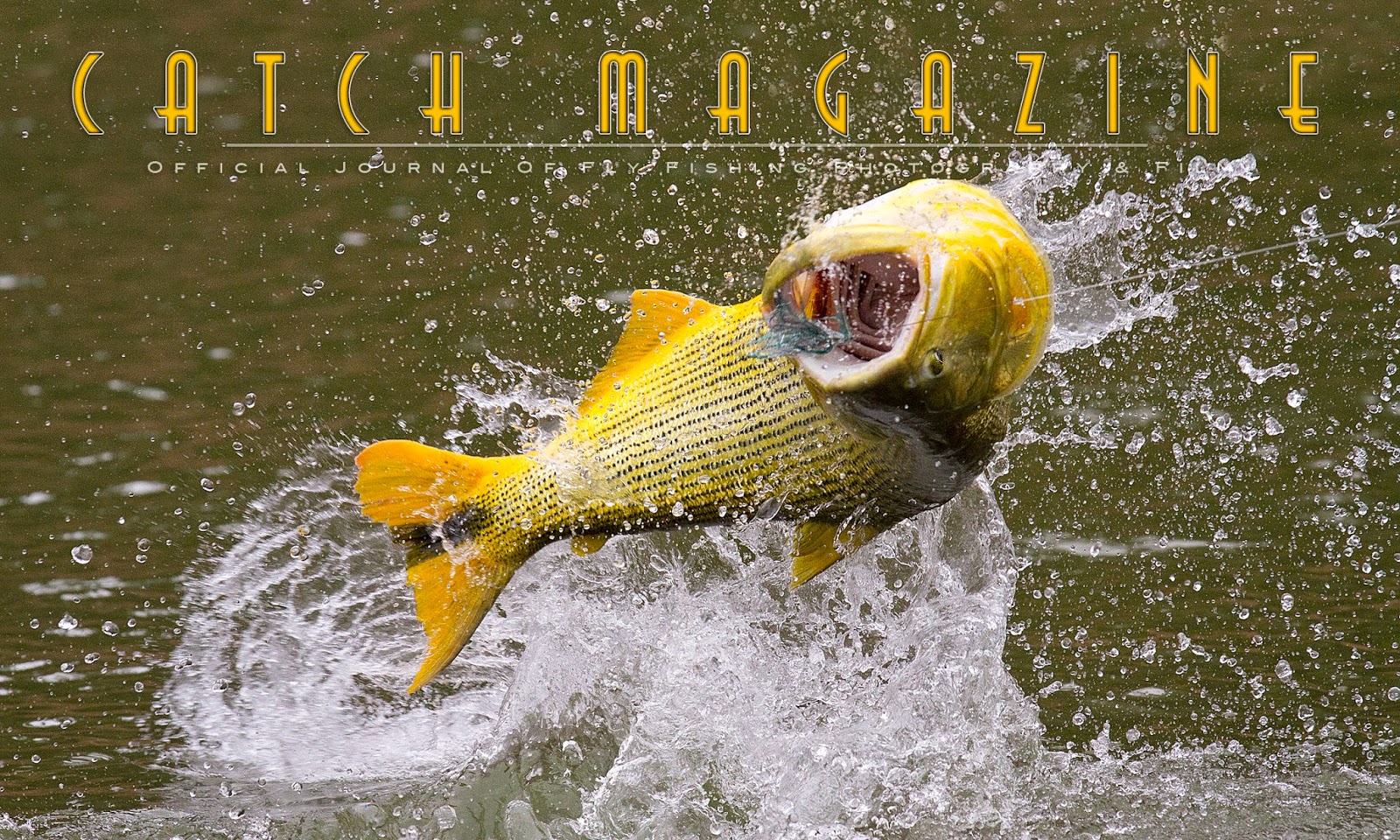  Catch Magazine - Photo/Cover by Jon Covich
