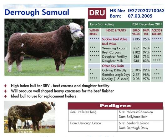 Merisi S Vienna For Beginners Looking Upskywalk At Palais