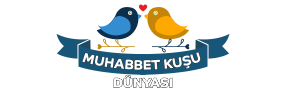 Muhabbet Kuşu üretim - Muhabbet Kuşu Hakkında Herşey