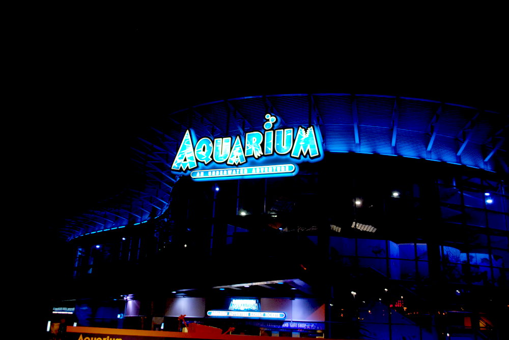 MidwestInfoGuide Downtown Aquarium Denver