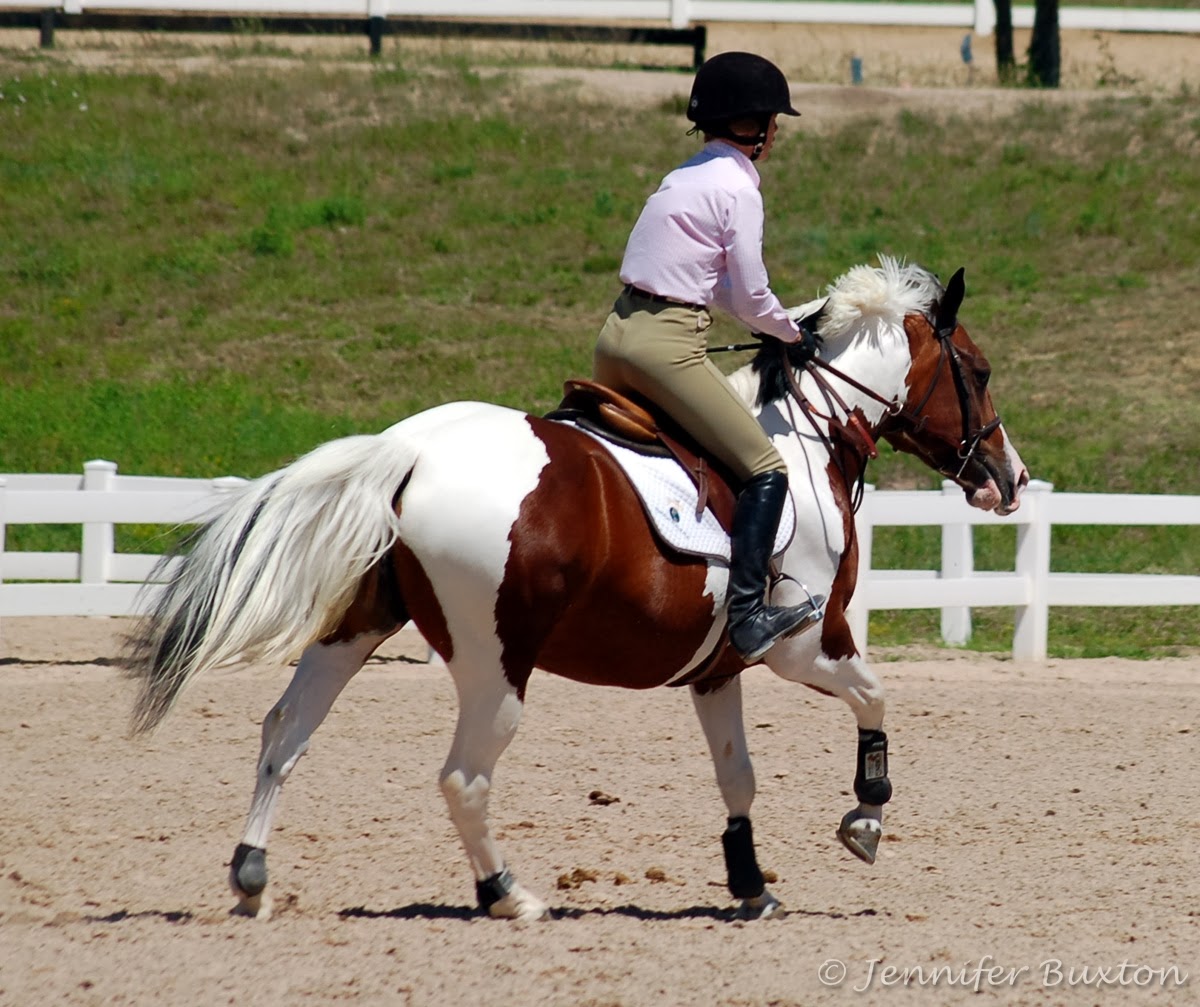 Braymere Custom Saddlery Canter leads
