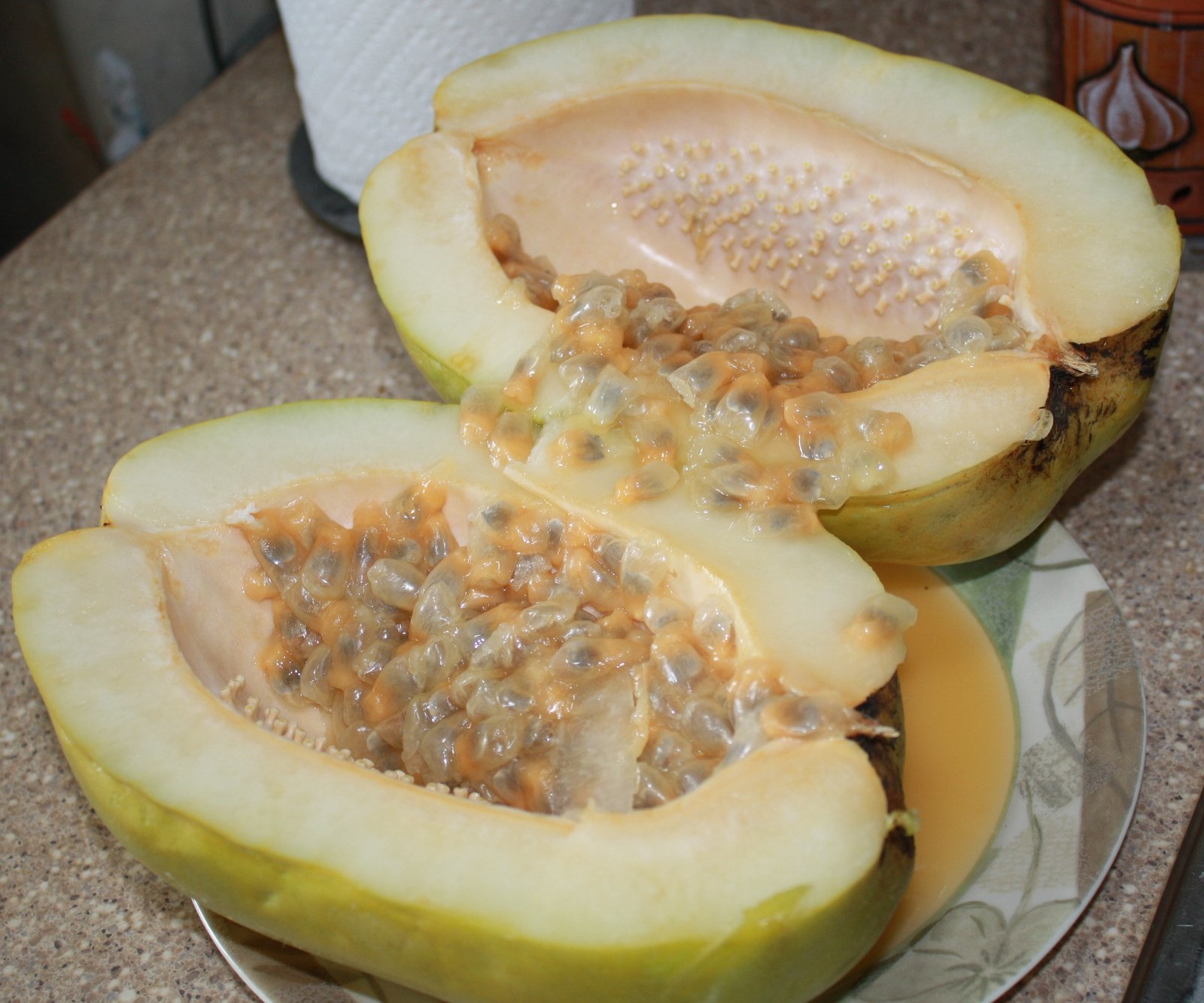 Conoce la 'parcha' granadilla Agrochic Jardinería y Bienestar