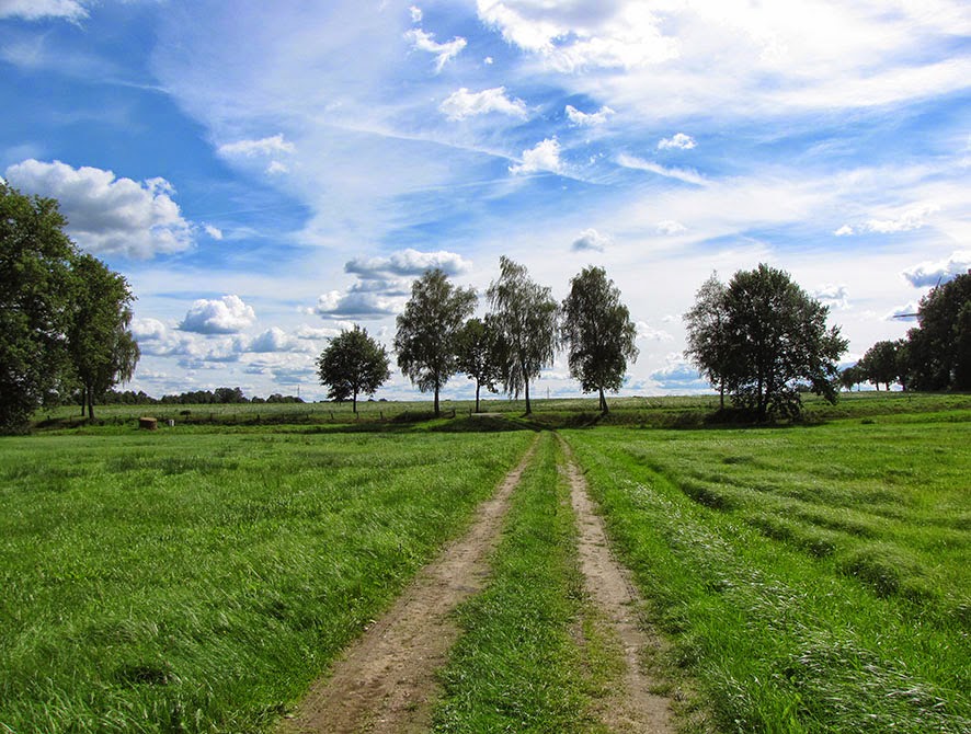 Neue Zeitung Ausgabe Cloppenburg Kw14 By Gerhard Verlag Gmbh Issuu