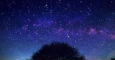 This Wonderful Night-A Poem