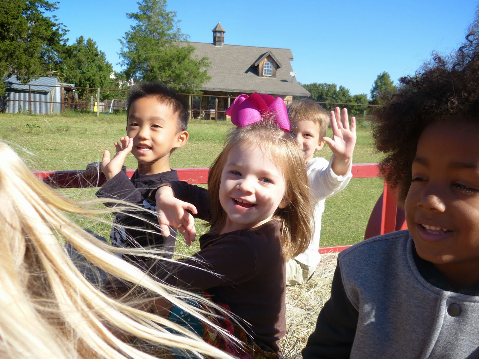 Paula's Primary Classroom Lowes Miniature Farm Field Trip!