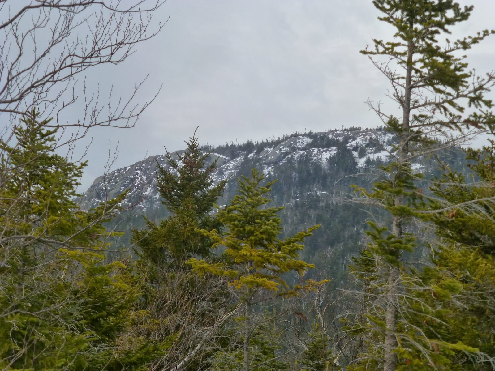 Off on Adventure Knob Lock Mountain Giant Mountain Wilderness 2/1/14