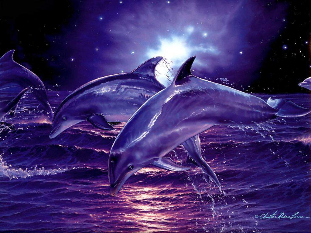 D Art Desktop Wallpaper Gallery D Art Free Background x