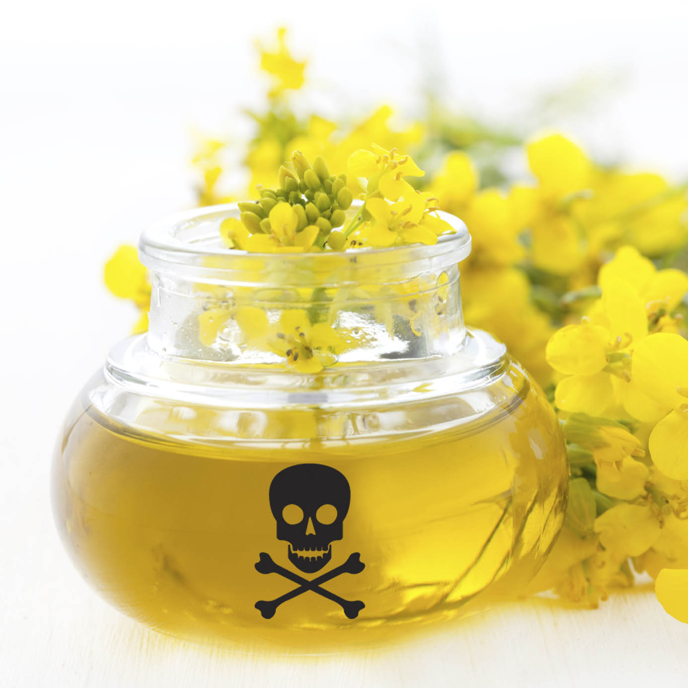 Da cozinha para a mesa Óleo de Canola (CANadian Oil Low Acid)