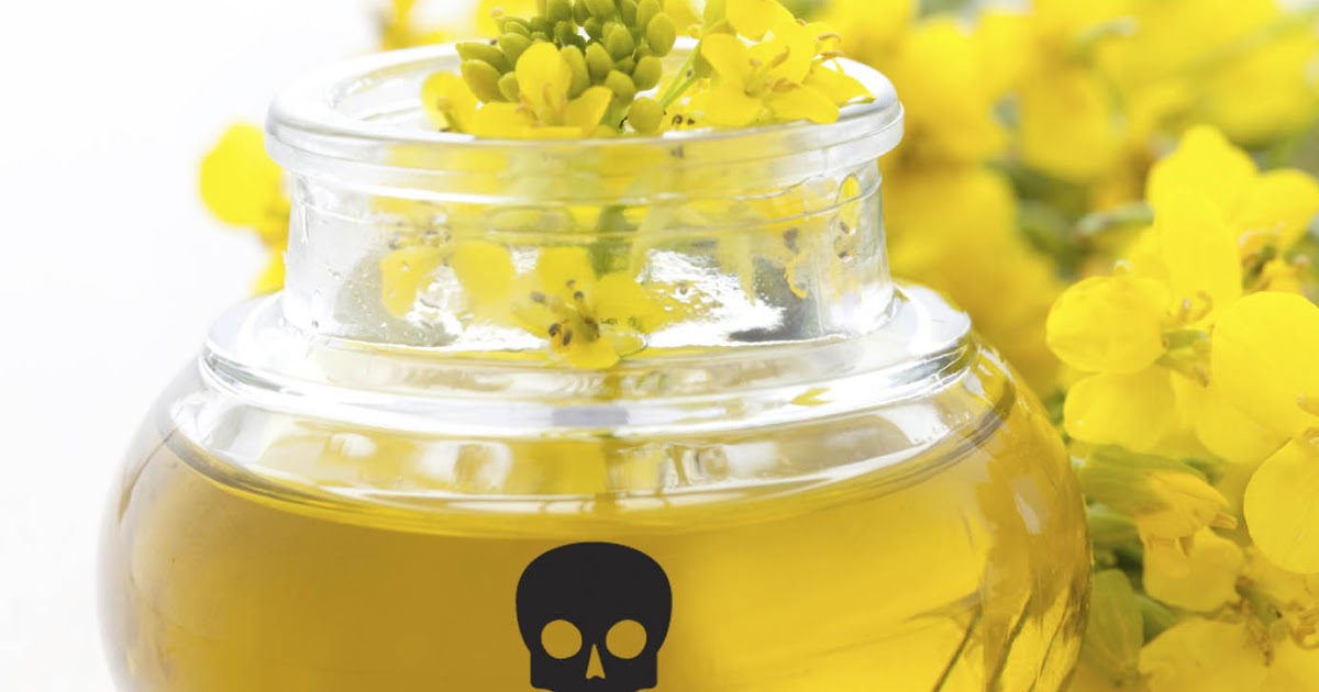 Da cozinha para a mesa Óleo de Canola (CANadian Oil Low Acid)