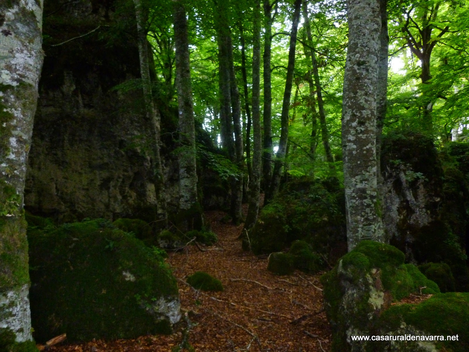 Rutas en Navarra,Tierra Estella. Blog de casa rural Belastegui Ruta al