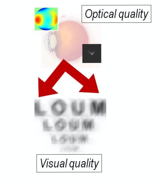 Optics and vision how the eye affects your quality of vision? Pablo