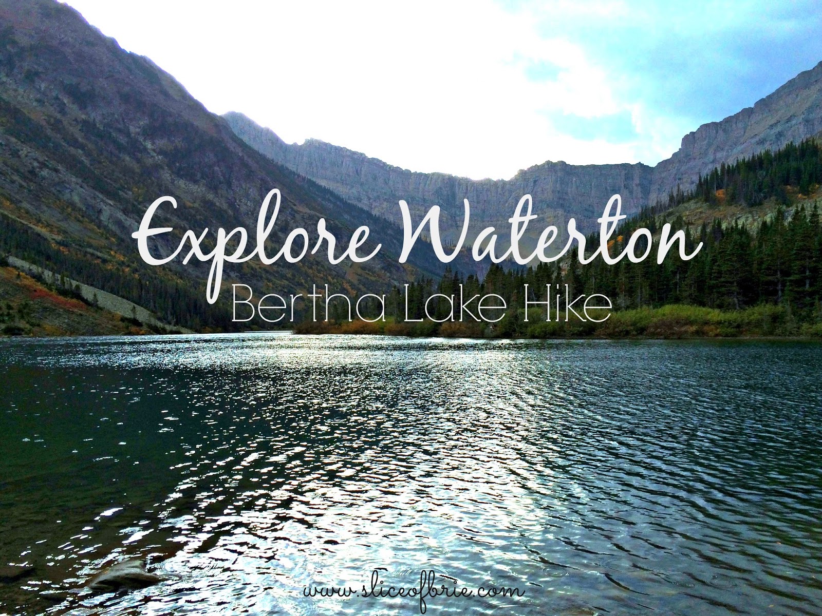A Slice of Brie Explore Waterton Bertha Lake Hike