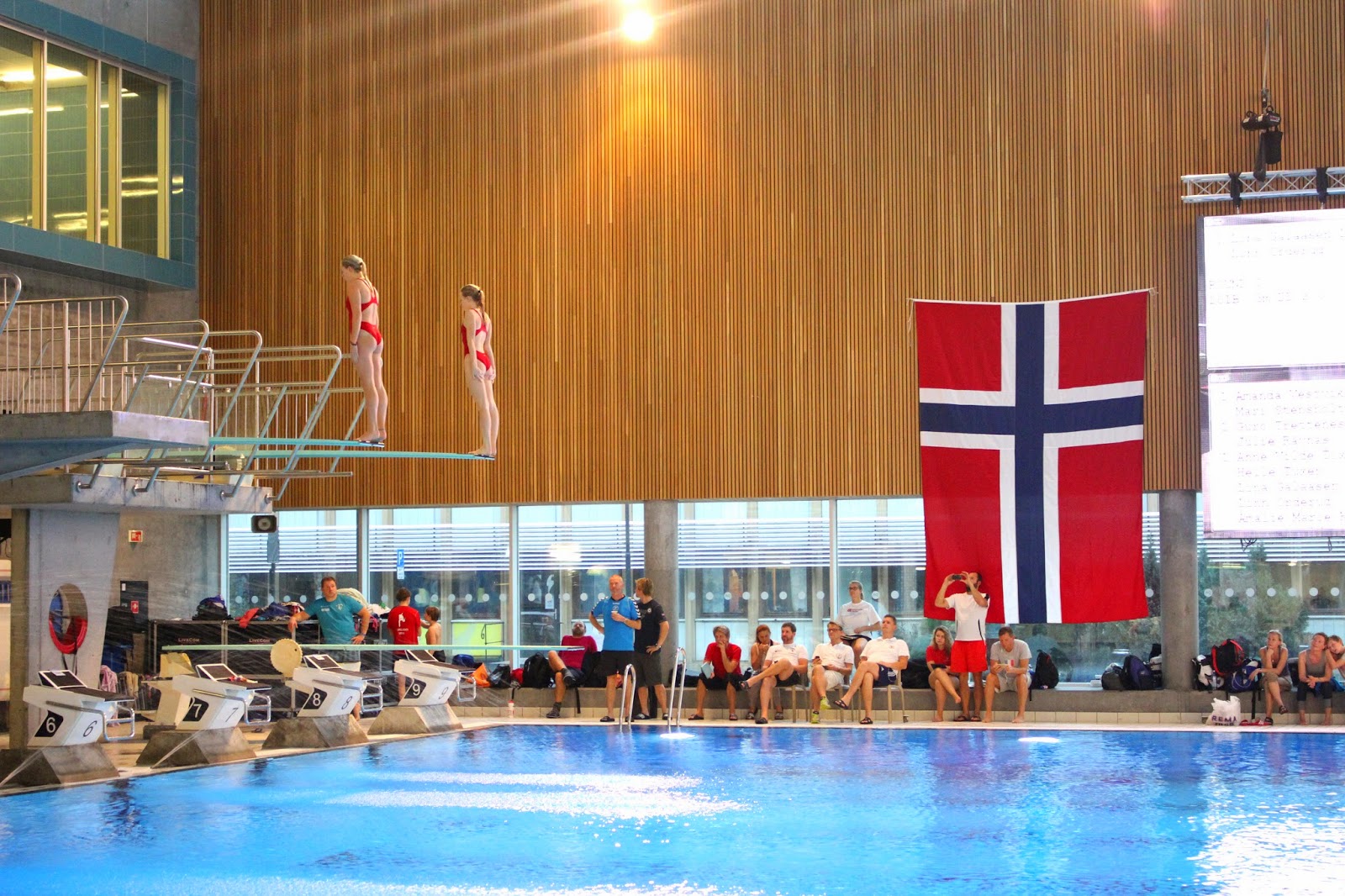 Visit Southern Norway Norwegian diving finals at Aquarama in Kristiansand
