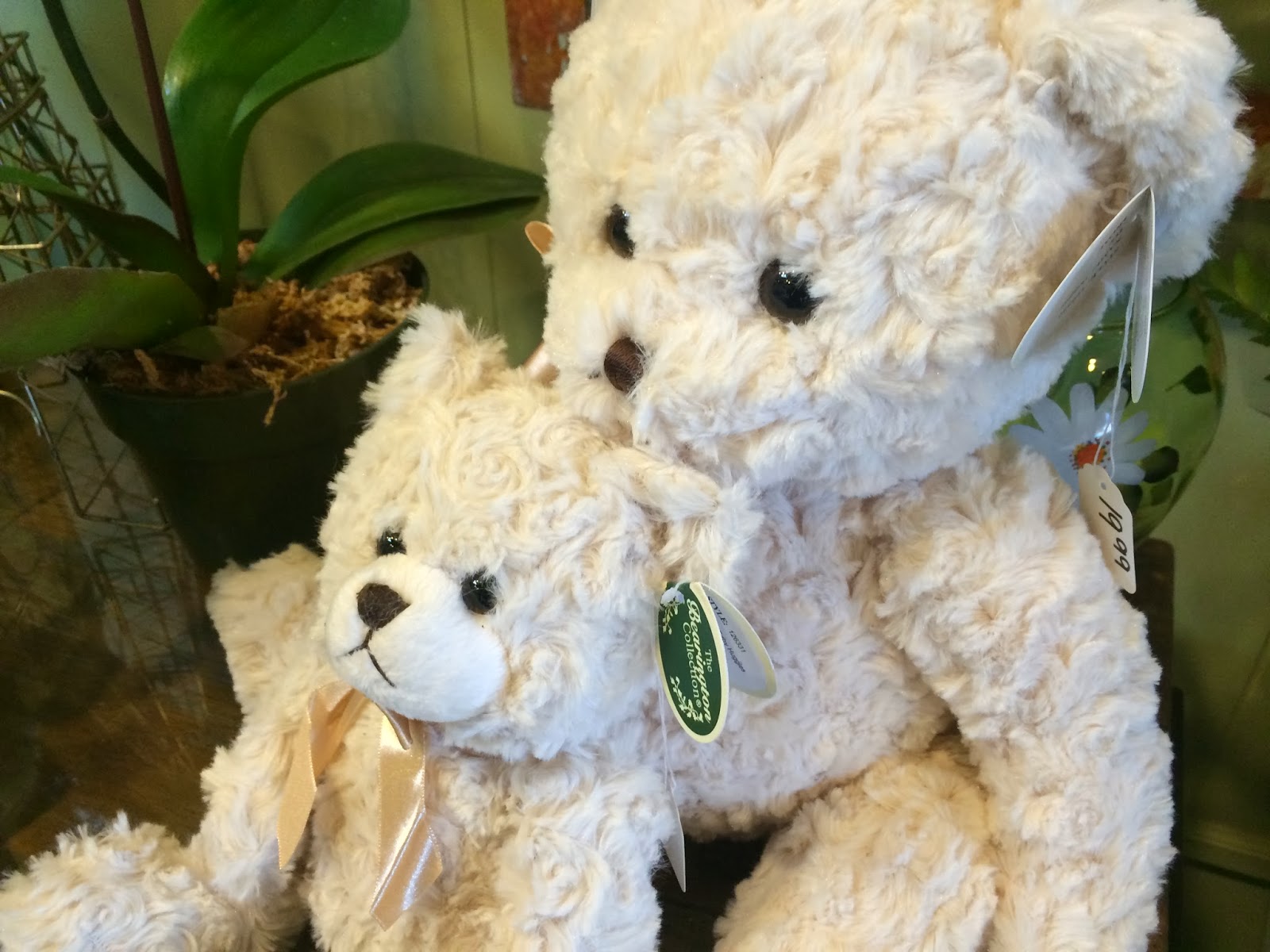 Feldis Florist Garden City Ny at Louis Word blog